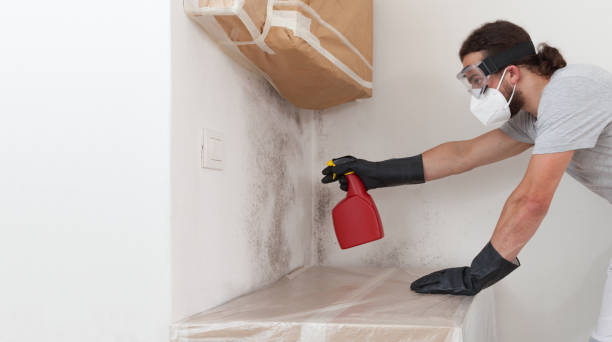 Professional Hvac And Air Duct Mold Remediation technician working in Schooleys Mountain, NJ